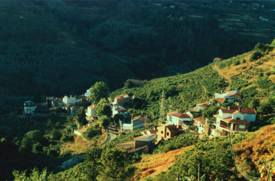 Pealba